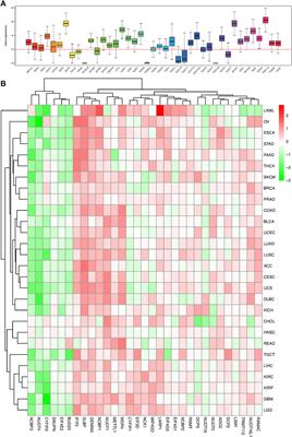 Integrative pan-cancer analysis and clinical characterization of the N7-methylguanosine (m7G) RNA modification regulators in human cancers